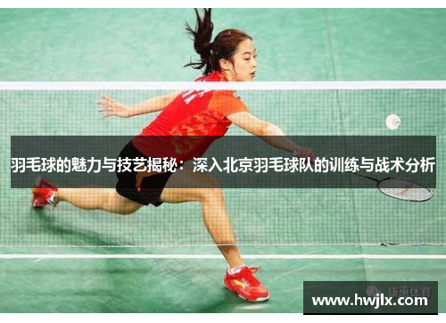 羽毛球的魅力与技艺揭秘：深入北京羽毛球队的训练与战术分析