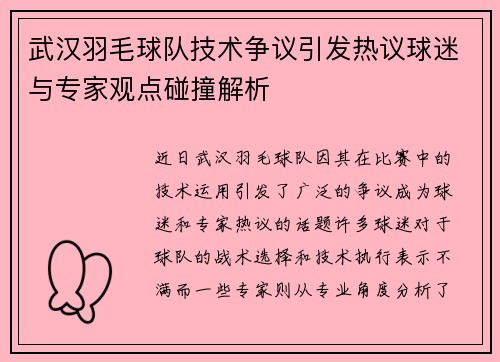 武汉羽毛球队技术争议引发热议球迷与专家观点碰撞解析
